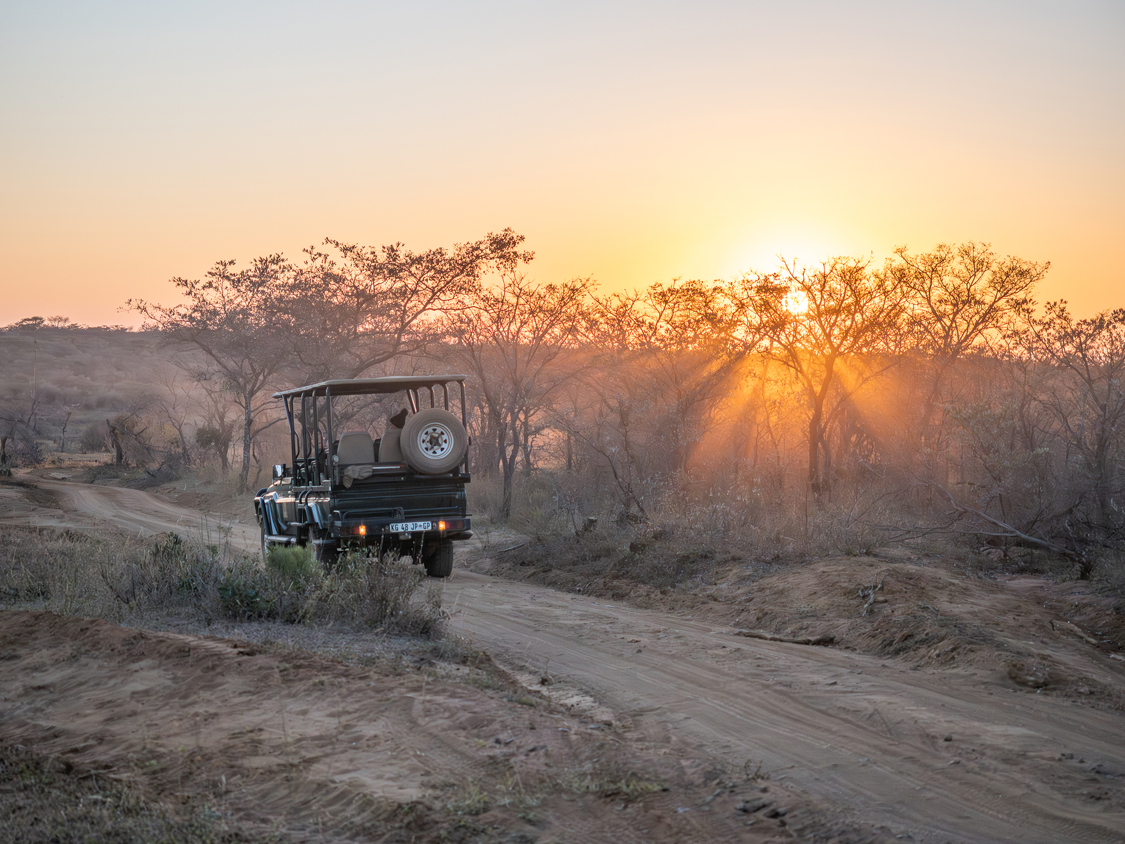 Clifftop Exclusive Safari Hideaway sunrise safari 1